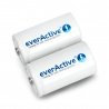 Baterie EverActive Professional Line R20 / D Ni-MH 10 000 mAh - - zdjęcie 1