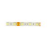 LED pásek SMD5050 IP65 14,4W, 60 diod / m, 10mm, studená barva - zdjęcie 2