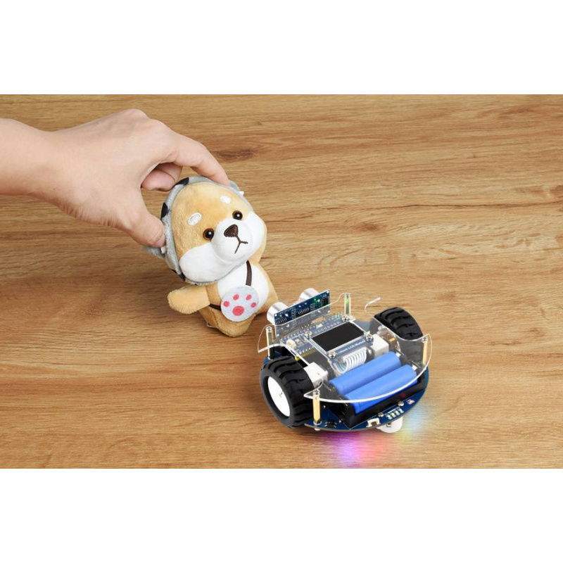 Pico2Go Mobile Robot, Based On RP2350-Plus (wersja EU)