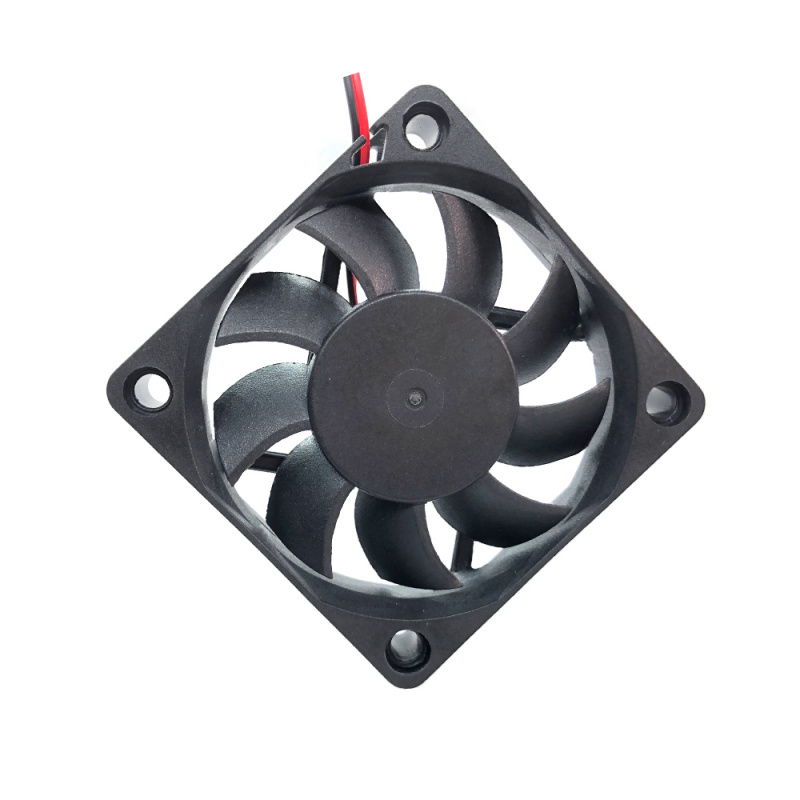 fan 6015 12V Dual ball bearing