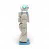 Hovis Eco Plus - 20 DoF humanoidní robot - zdjęcie 3