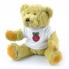 Medvědí mládě s logem Raspberry Pi - zdjęcie 1