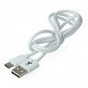 Bílý kabel EXtreme USB 2.0 typu C - 1 m - zdjęcie 3