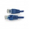 Ethernet Patchcord UTP 5e 0,25m - modrý - zdjęcie 1