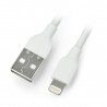 USB A - Lightning kabel pro iPhone / iPad / iPod - Blow - 2m - zdjęcie 1