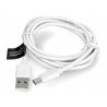 Kabel USB 3.0, typ C, 2m Esperanza EB228W - bílý oplet - zdjęcie 2