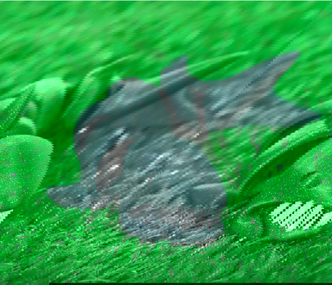 Ukázkový tisk s použitím filamentu Bambu Lab