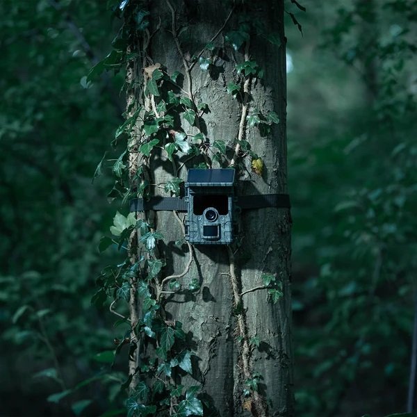 Ez-solární fotopast visí v noci na stromě v lese.
