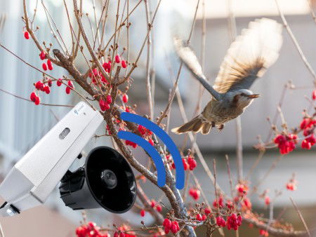 Odpuzovač lesní zvěře - divoká prasata, srnčí zvěř, ptáci - IP44 - Viano