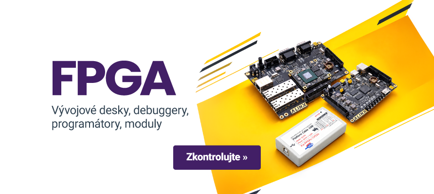 FPGA